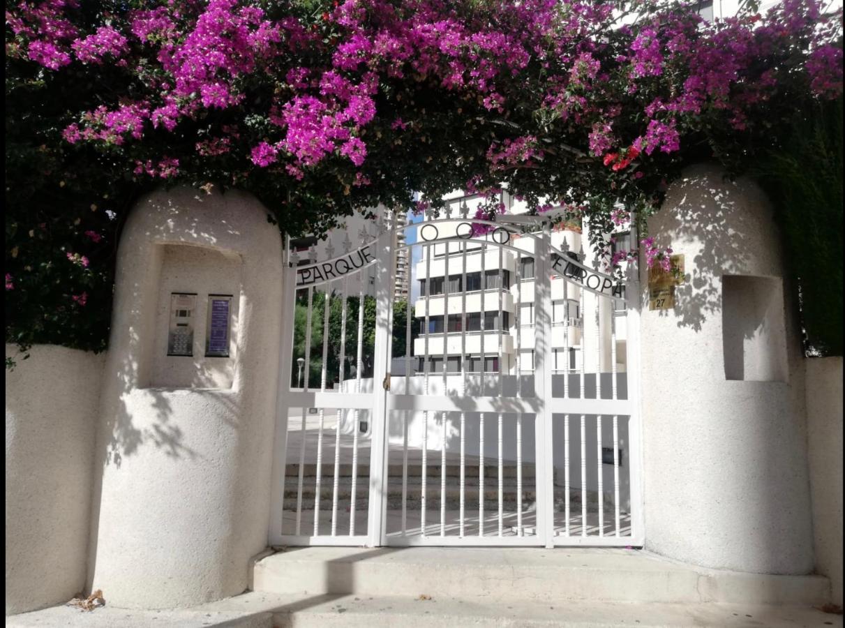 Apartamento Coffee Beach En Parque Europa Benidorm Buitenkant foto