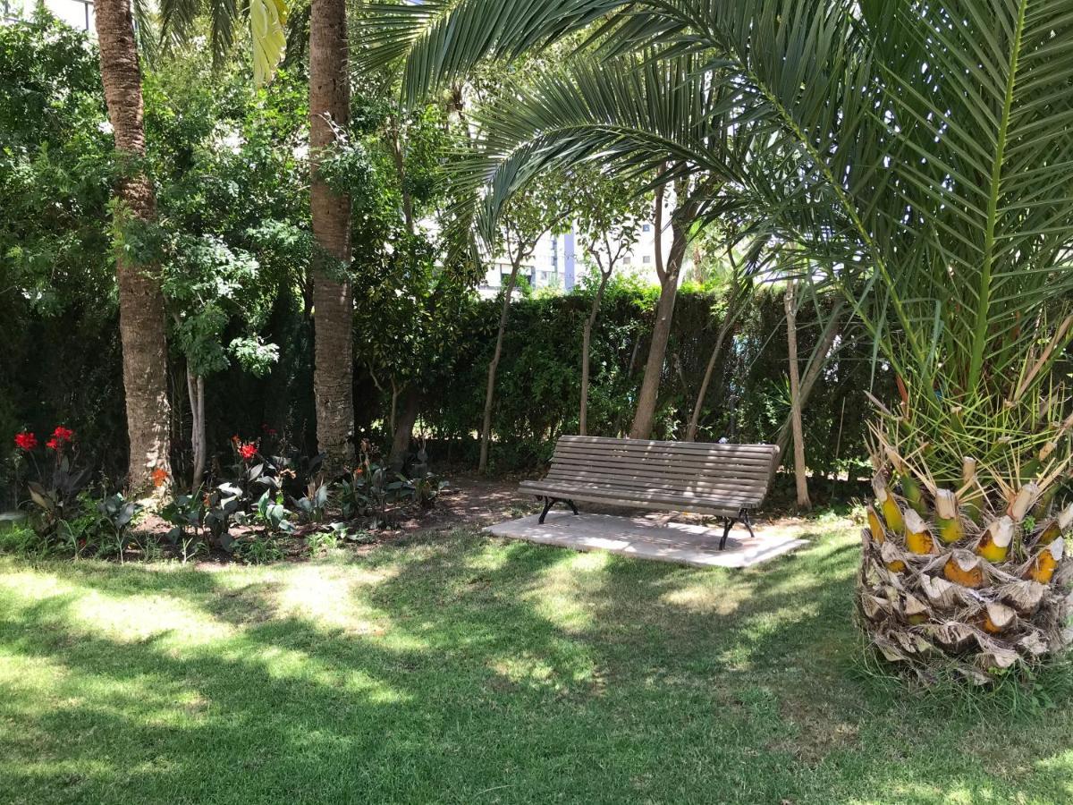 Apartamento Coffee Beach En Parque Europa Benidorm Buitenkant foto